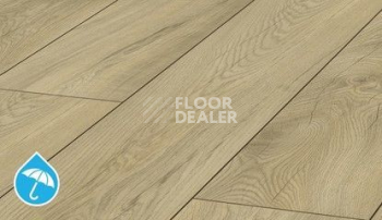 Ламинат Kronotex Mammut Plus d4672 Дуб Магнум Светлый фото 1 | FLOORDEALER